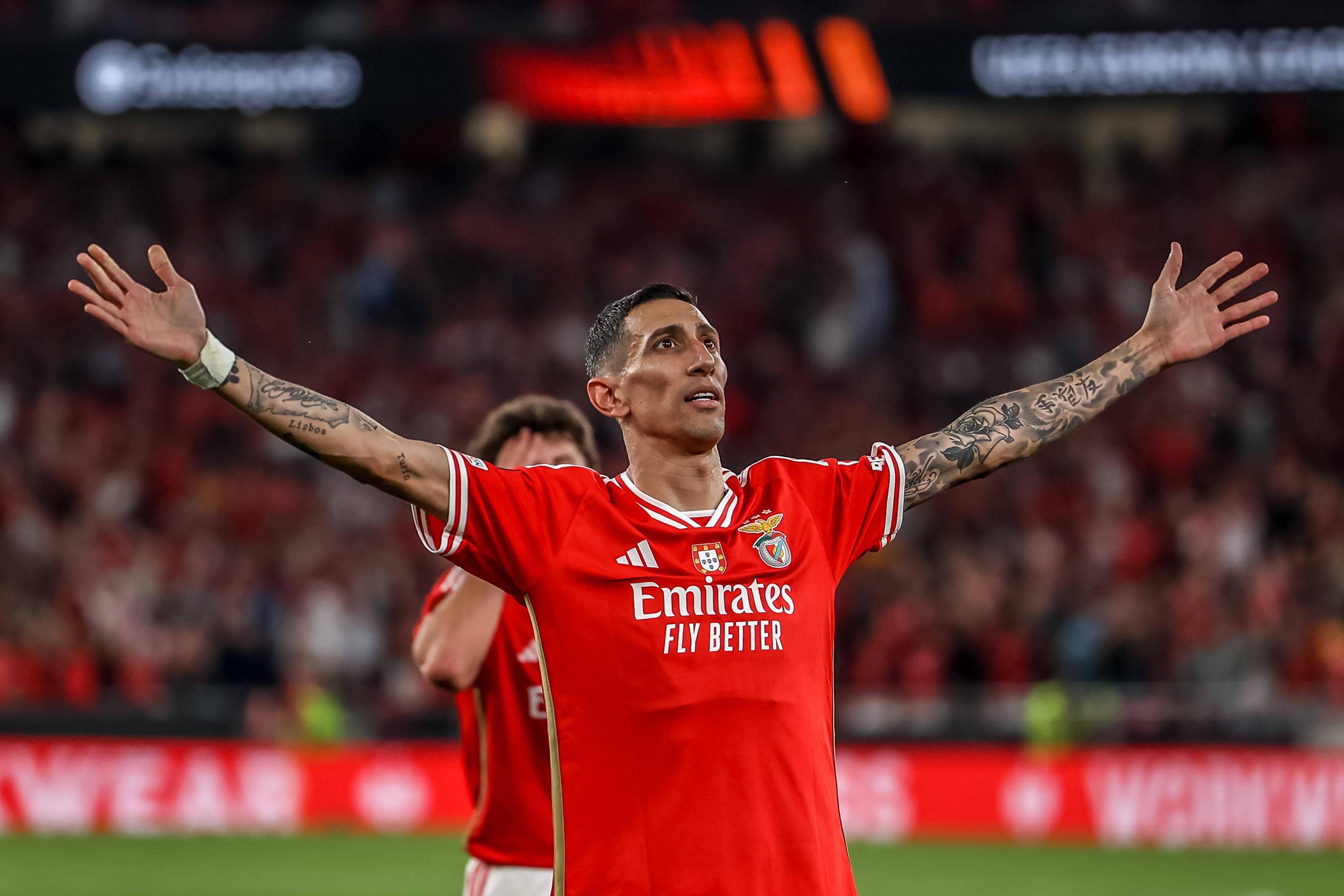 开云体育中国官网-关于集结日体能课后，本菲卡迎来里程碑备战葡超，引发热议，赛程密集仍需轮换的信息